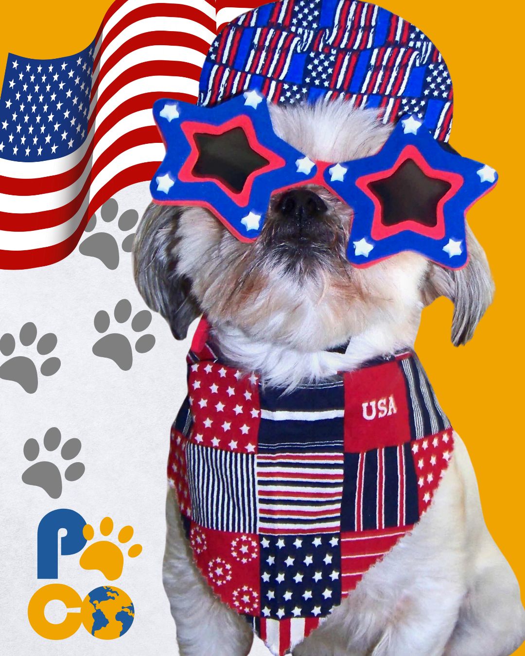 transporte de perritos a estados unidos